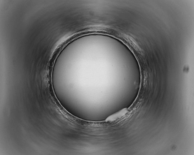 X0000100191164200806131201