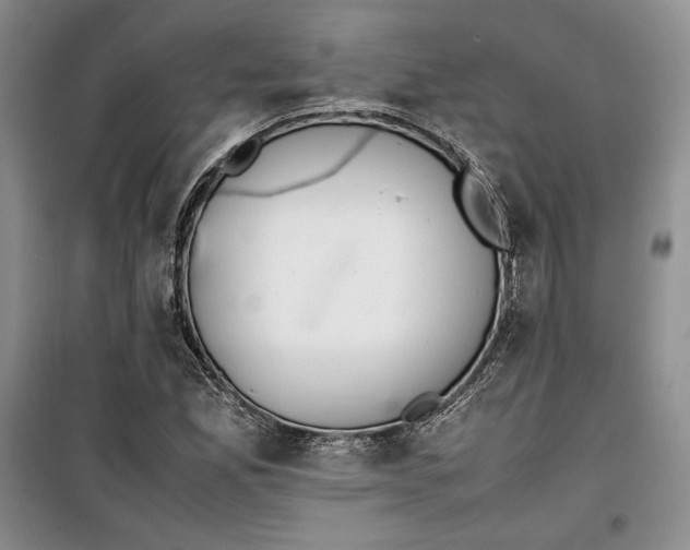 X0000100191165200806131201