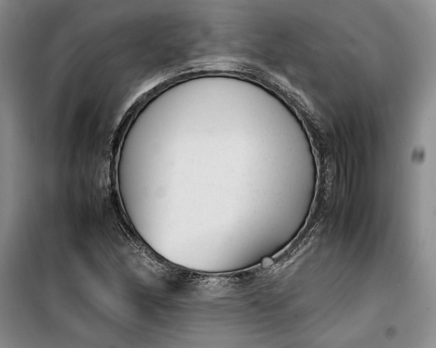 X0000100191166200806131201