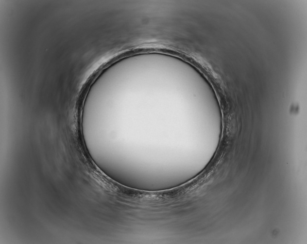 X0000100191167200806131201