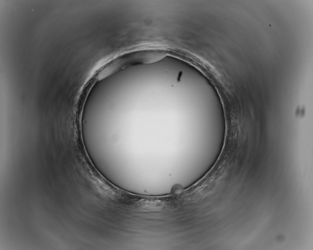 X0000100191168200806131201