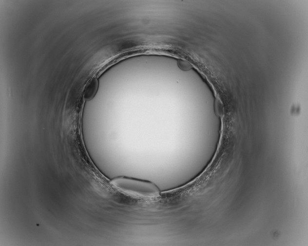 X0000100191169200806131201