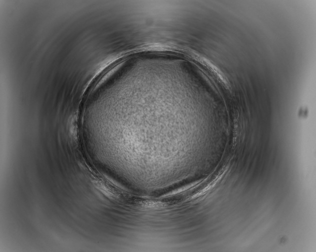 X0000100191170200806131201