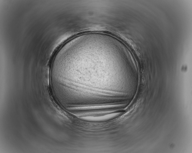 X0000100191171200806131201