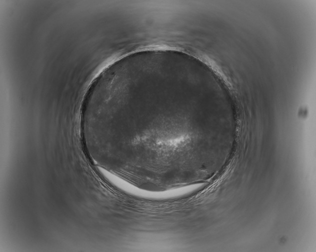 X0000100191173200806131201