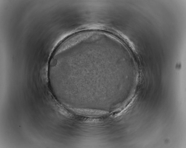 X0000100191174200806131201