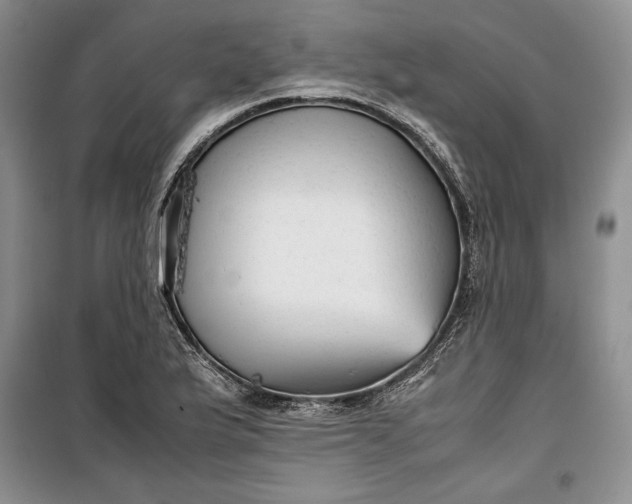 X0000100191175200806131201