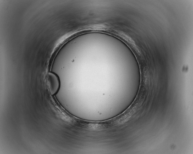 X0000100191176200806131201