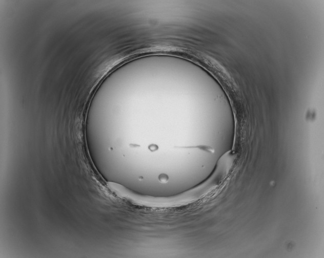 X0000100191177200806131201