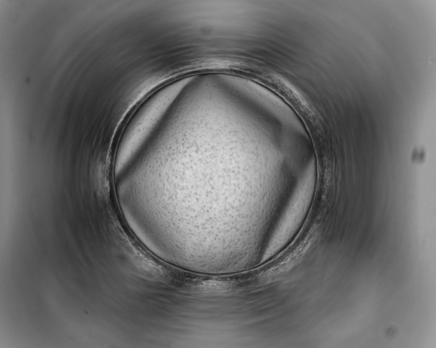 X0000100191178200806131201