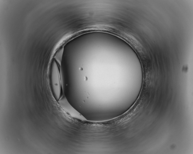 X0000100191180200806131201