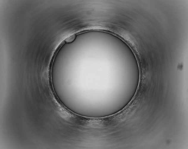 X0000100191181200806131201