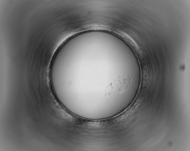 X0000100191182200806131201