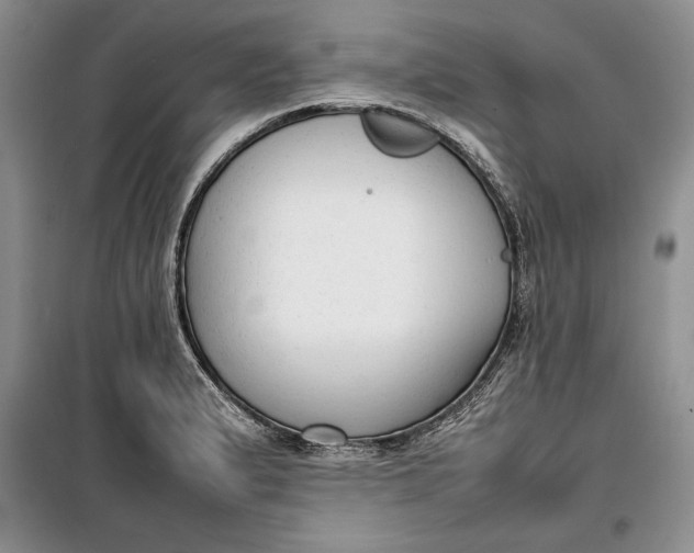 X0000100191183200806131201