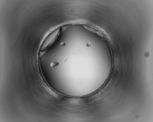 X0000100191184200806131201