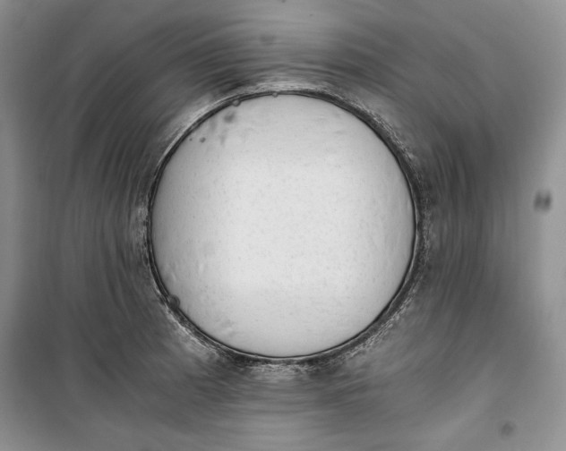 X0000100191185200806131200