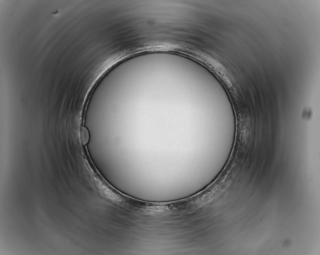 X0000100191186200806131200