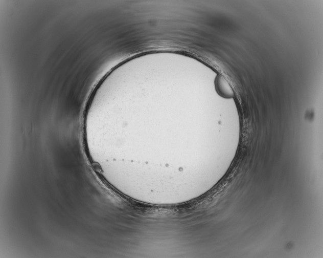 X0000100191187200806131200