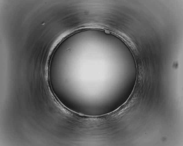 X0000100191188200806131200