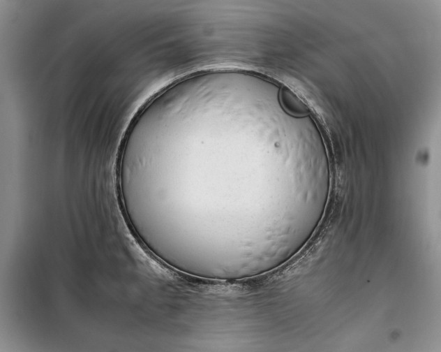 X0000100191189200806131200