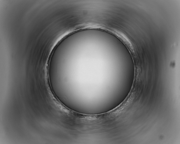 X0000100191190200806131200