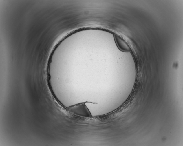 X0000100191191200806131200