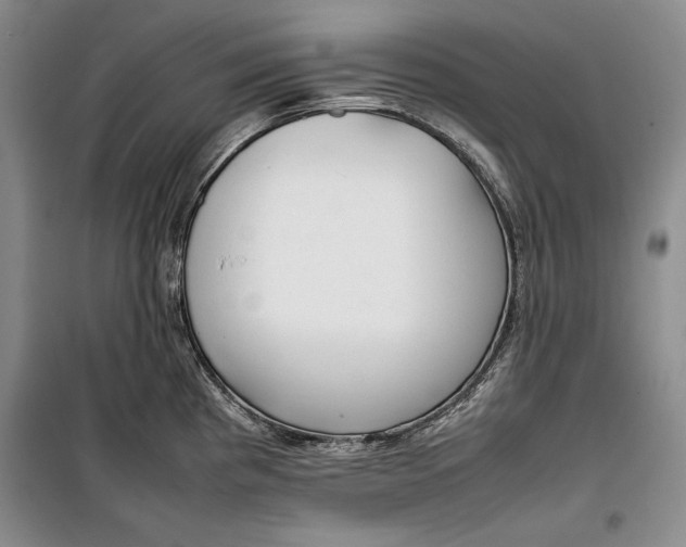 X0000100191193200806131200