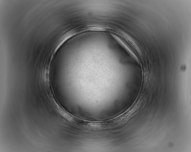 X0000100191194200806131200