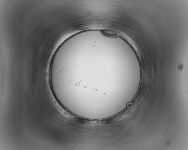 X0000100191195200806131200