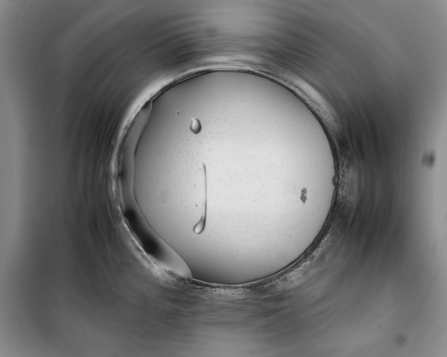 X0000100191196200806131200