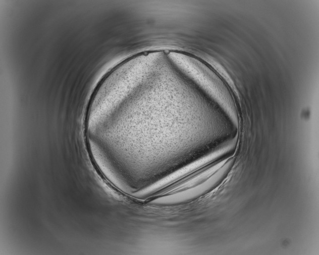 X0000100191197200806131200