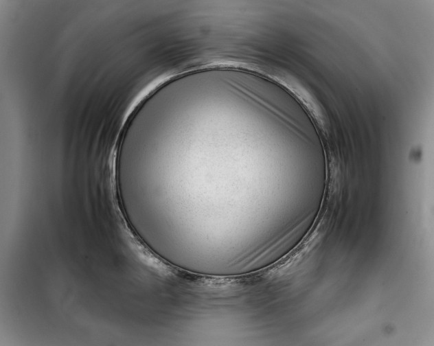 X0000100191198200806131200