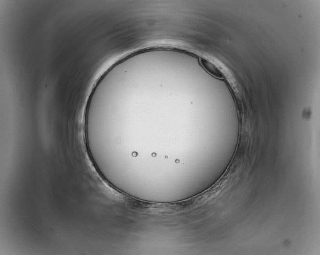 X0000100191199200806131200