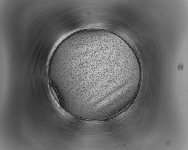 X0000100191200200806131200