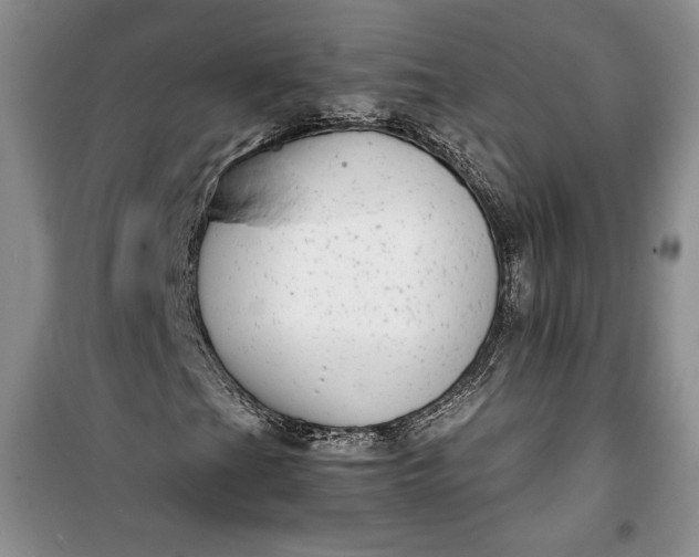 X0000100191201200806131200