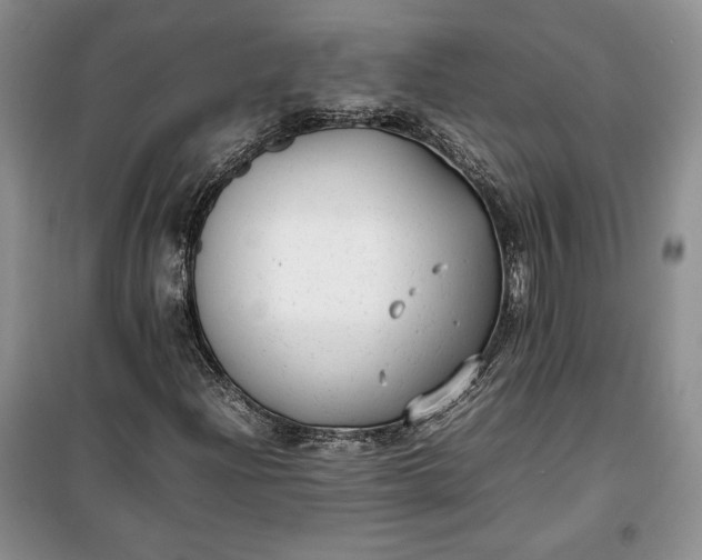 X0000100191204200806131200