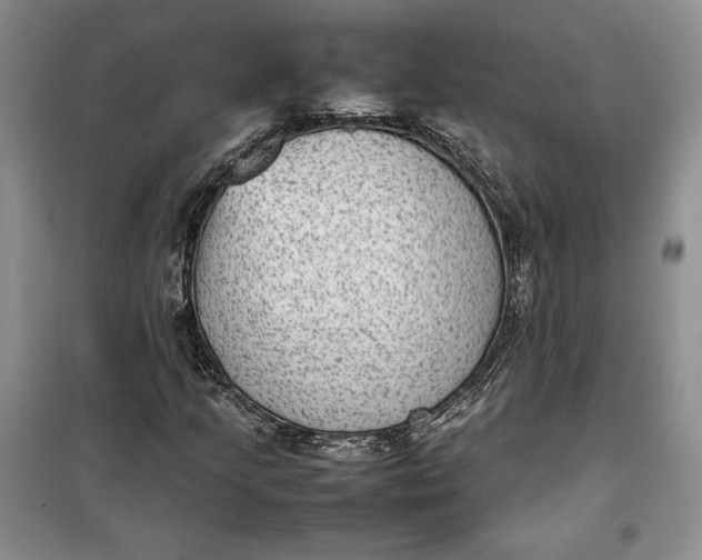 X0000100191205200806131200