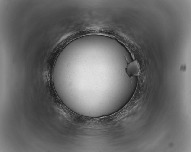 X0000100191206200806131200