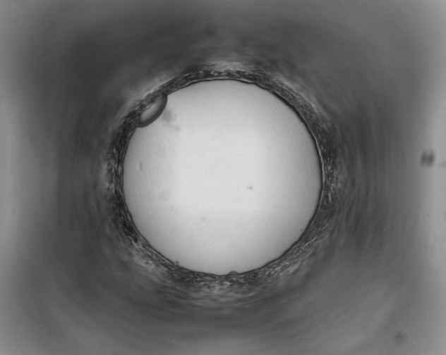 X0000100191207200806131200