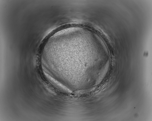 X0000100191208200806131200