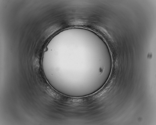 X0000100191209200806131200