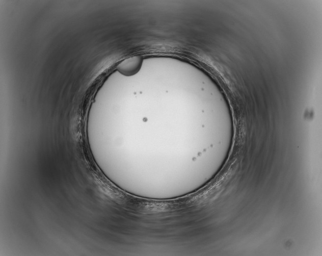 X0000100191211200806131200