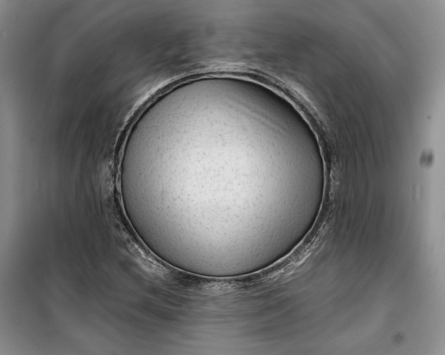 X0000100191212200806131200