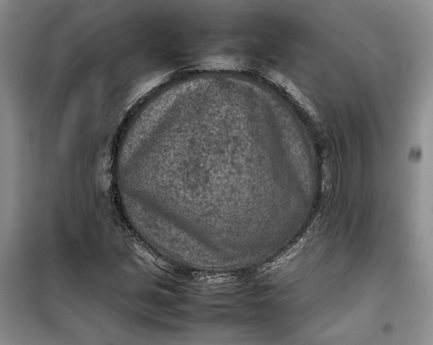 X0000100191213200806131200