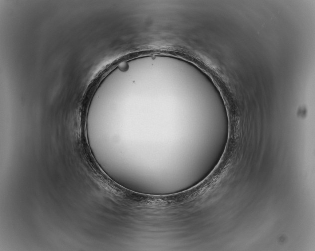 X0000100191214200806131200