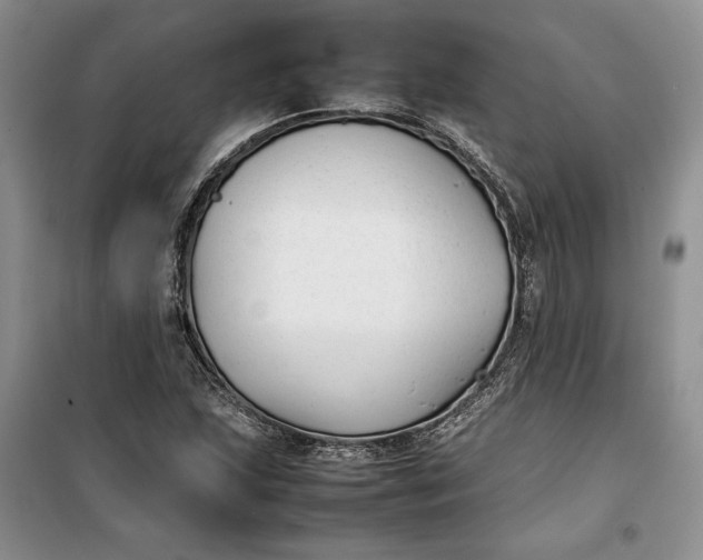 X0000100191215200806131200