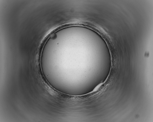 X0000100191216200806131200