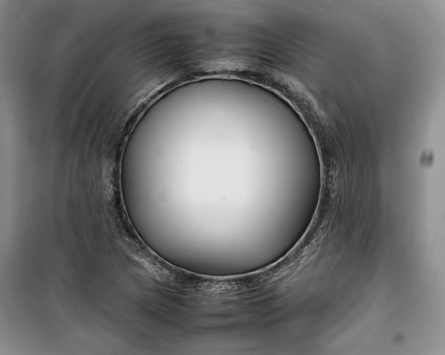 X0000100191217200806131200