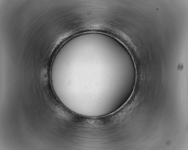 X0000100191218200806131200