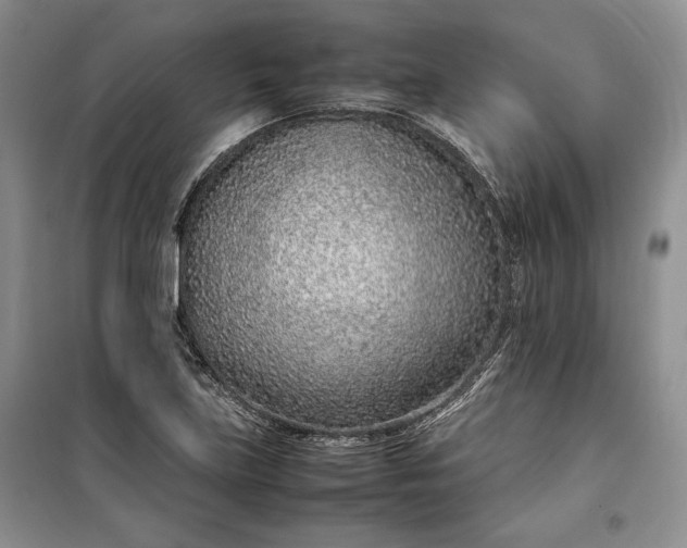 X0000100191219200806131200